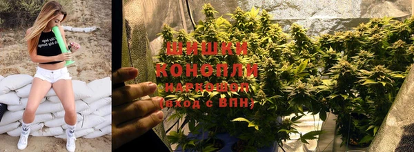 альфа пвп Новокубанск