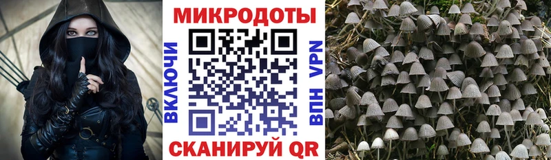 наркошоп  Мамоново  Псилоцибиновые грибы Psilocybine cubensis 